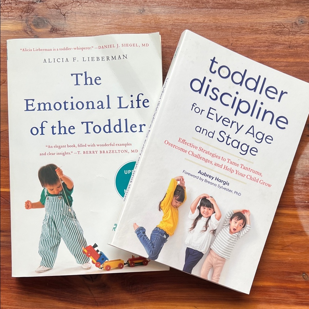 5 dollar book bundle- Toddler Parenting Book Set
